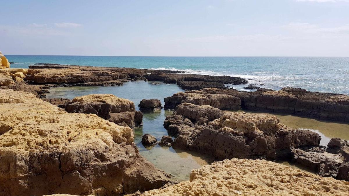 Albufeira Sea View Apartment Екстериор снимка